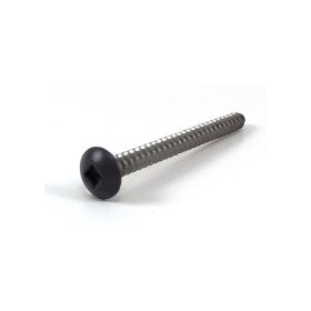 Dynasty Screw 15138 15138 1