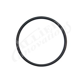 Sundance Jacuzzi O-Ring 6500-816 6500 816 1