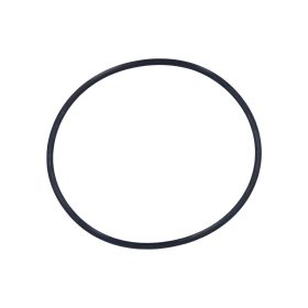 Rainbow Filter Lid O-Ring R172223 R172223 1