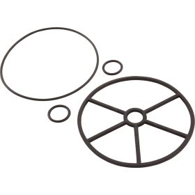 Gasket, Astral Selector Valve, 1-1/2", 5 Spokes | 4404120107 27 250 1075 1.jpg