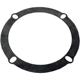 Gasket, Hydro Pump, Seal Plate, Generic, 4-11/16"ID, 5-7/8"OD | G-193 35 110 1909.jpg