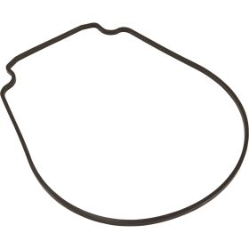 Gasket, Pentair Purex IntelliFlo VS, Seal Plate, Special ID/OD | 357100 35 110 202920 20Replaced20By 1.jpg