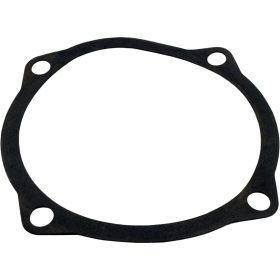 Gasket, Waterco Hydro 5000, Seal Plate, 6-5/8"ID, 7-5/8"OD | 19B5025 35 252 1300.jpg