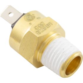 Hi-Limit Switch, Pentair Max-E-Therm/MasterTemp, 1/4" - 18npt | 42001-0063S 47 102 1309 1.jpg