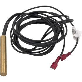 Temperature Sensor For Pentair Minimax, IID | 070274 47 110 1344.jpg