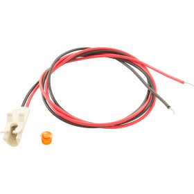 Indicator Light, Coates | 29034620 47 225 1755 1.jpg
