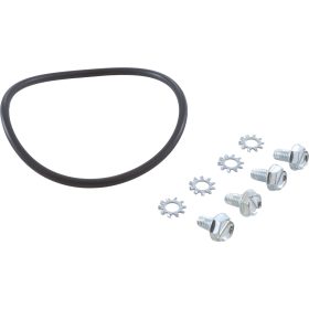 O-Ring, Zodiac Laars HI-E2, Venturi | R0320400 47 295 1372.jpg