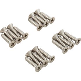 Screw Kit, Carvin Deckmate/MD Series/Vinyl Return, qty 20 | 14432603R20 55 105 1724 1.jpg