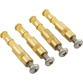Main Drain Brass Insert, Aquastar, with Screw, Quantity 4 | BIK4 55 300 1180 1.jpg
