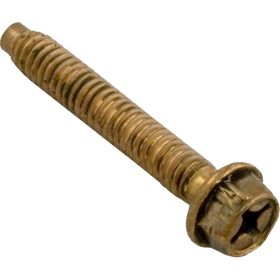 Light Bolt, American Products, Spabrite, 1/4-20 x 1-5/8 | 79210600 57 110 1260.jpg