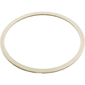Grommet Gasket-Dyna Flo Skim Filter | 711-8010 711 8010 1.jpg