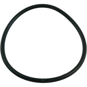 O-Ring, Pentair Sta-Rite, Union, O-244 | U9-362 89 102 101720 20Replaced20By.jpg
