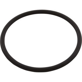 O-Ring, Astral Sprint 2000, Diffuser, 2-3/8"ID, 1/8"CS | 4405010161 90 250 1116.jpg