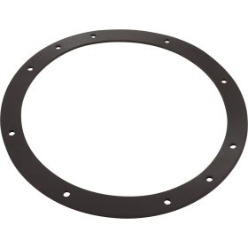 Gasket, Sta Rite, Vinyl Liner, Light Niche, Generic | G-435 90 423 2056 1.jpg