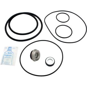 Go-Kit 36, Aqua Flo Dominator/C Series Pump, Pre-`95 | GO-KIT 36 90 423 3004.jpg