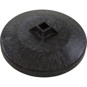 Tool, Waterway 5.5" Top Load Filter | 218-3700 99 270 1005 1.jpg
