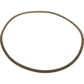 Gasket, Pentair, J-Series High Head, Volute | C20-122 C20 122.jpg