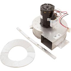 Combustion Blower, 110V | IDXLBWR1931 Image