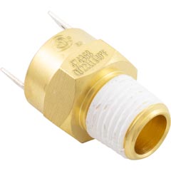 Gas Shutoff Switch, Pentair Max-E-Therm/MasterTemp | 42002-0025S Image