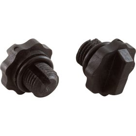 Drain Plug, Carvin, with O-Ring, Quantity 2|31-1609-06R2