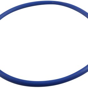 O-Ring, Pentair IF3/IP3 VSF, Trap Lid|356189Z