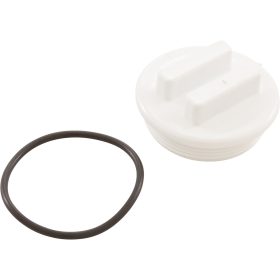 2"N.P.T. Plug W/Oring|400-6650
