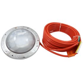 Pool Light, Pent IntelliBrite ARC,Wht LED,12v,50ft,500W Eq|602140